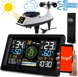 Wireless weather station with wind and rain measurement Berdsen