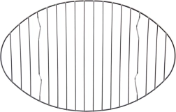 Stainless Steel Roasting Rack 32.5 × 21 cm ORION