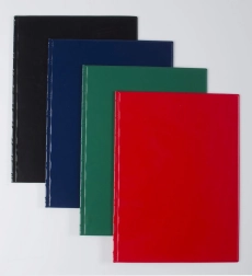 Mape A4 ar caurspīdīgām sānu kabatām Classic, krāsu assort