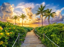 Puzle 3000 gabali Colorful Sunrise in Miami