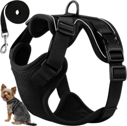 Bezspiediena iemaukti suņiem un kaķiem S Purlov ar pavadu