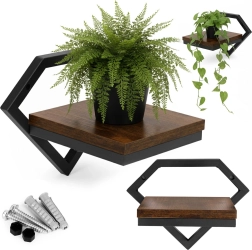 Piekaramā sienas plaukts augiem ModernHome – dimanta rāmis