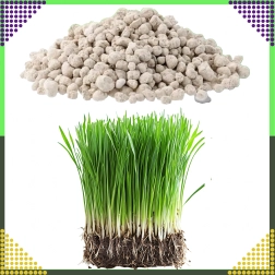 Daudzkomponentu zāliena mēslojums NPK 20-8-10 granulas 10 kg