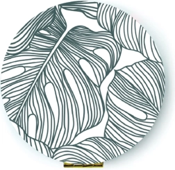 Kabatas spogulītis Monstera