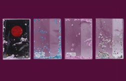 Gliteru vāciņš kladei A4