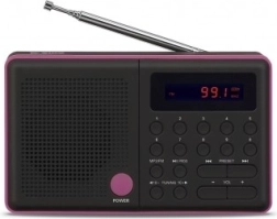Radio Pliszka USB FM melns