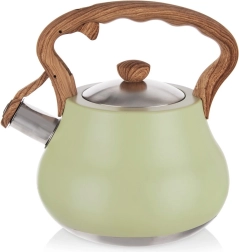 Svilpojoša nerūsējošā tējas tējkanna GREENISH 3 l
