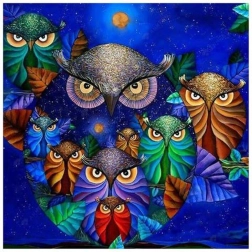 7D dimanta gleznošana – pūces nakts debesīs 30 × 40 cm