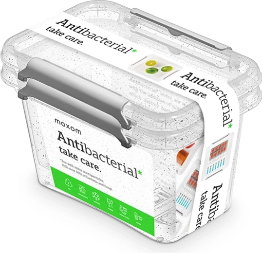 Antibacterial food containers 2× 650 ml