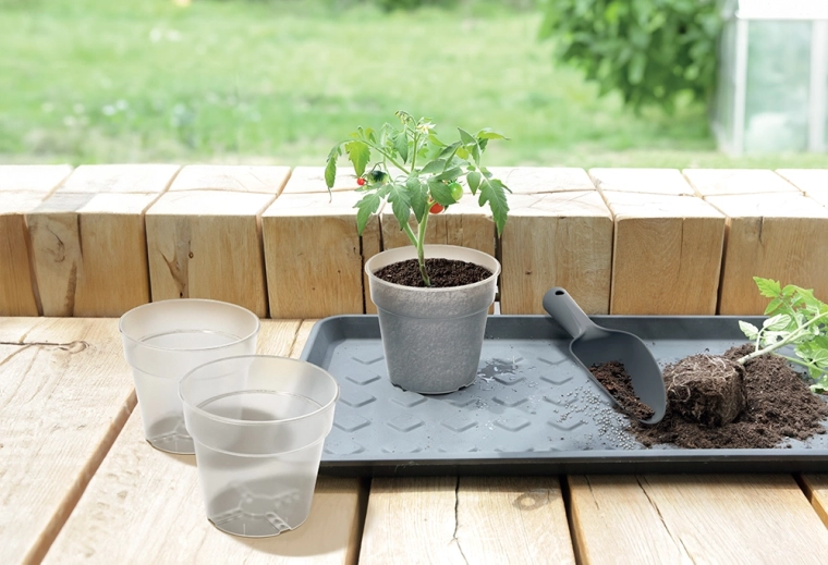 Support for healthy growth