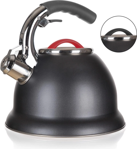 Stainless steel whistling kettle ADVANTAGE 2.7 l