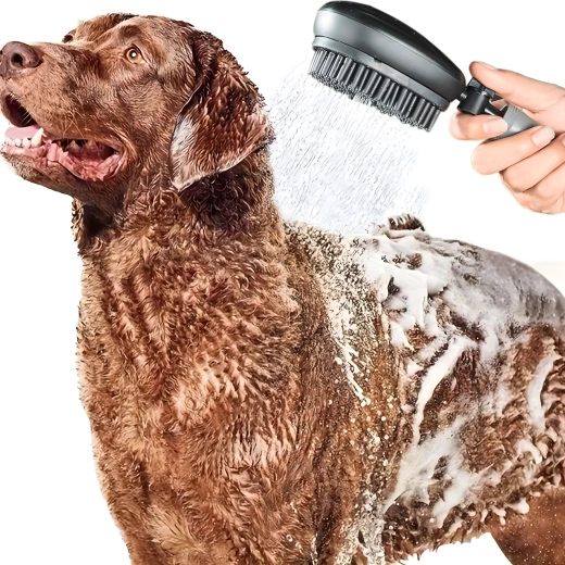 2 vienā: duša un birste ātrai un saudzīgai mazgāšanai