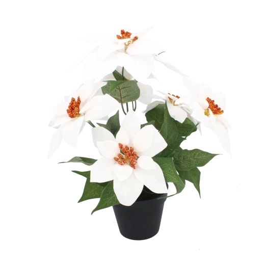 Synthetic Christmas star in a black flowerpot 35 cm, white