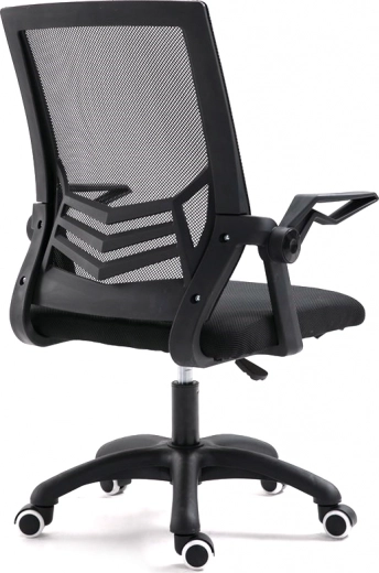 Ergonomisks muguras atbalsts