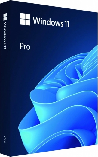 Windows Pro 11 64bit USB zibatmiņas disks