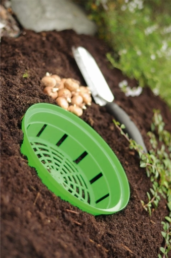 Easy planting and lifting from the soil