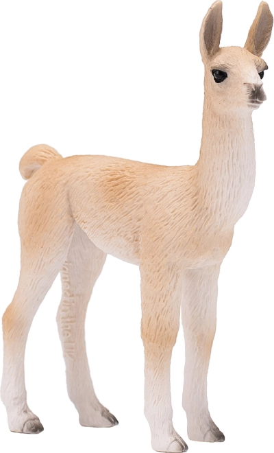 Lamas mazulis Mojo