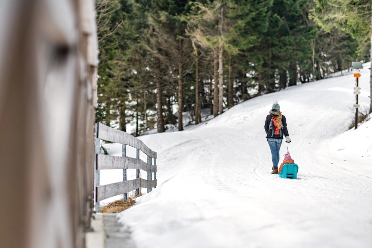 Viegli vilkt pa sniegu