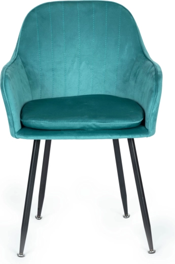 Samta polsterējums ar elegantu izskatu