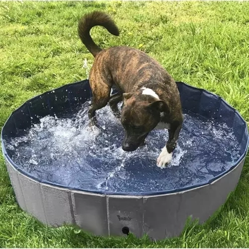 Universal pool and tub for a dog