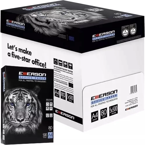 Printer and copier paper A4 80 g/m² – carton of 5 reams (2500 sheets)