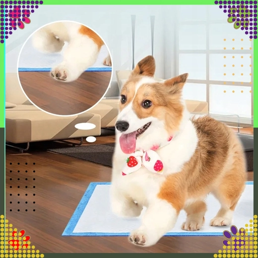 Komforts kucēniem un vecākiem suņiem