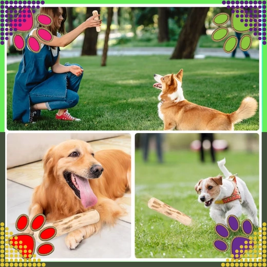 Fun at home and outdoors