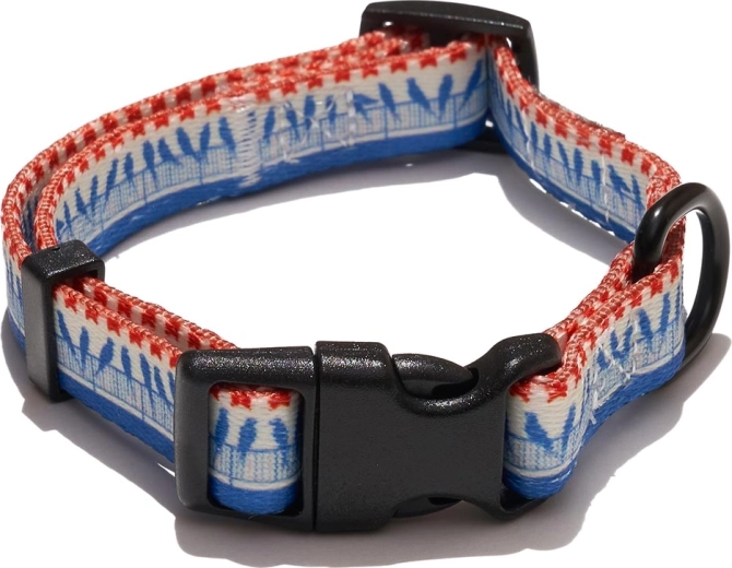 Explorer Dog suņu kakla siksna ar putnu motīvu, izmērs S (24–36 cm, platums 1,5 cm)