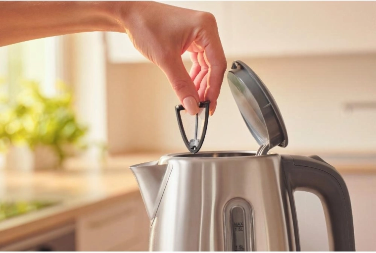Removable limescale filter