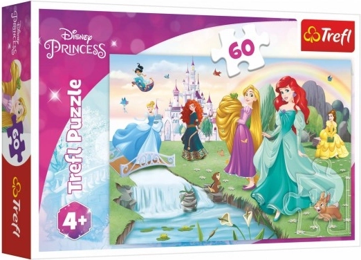 Puzle 60 gabali Iepazīsti princeses DISNEY PRINCESS Trefl