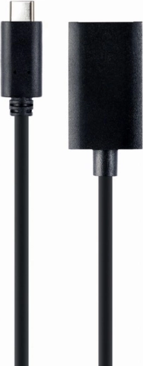 USB-C to DisplayPort Adapter 4K 15 cm