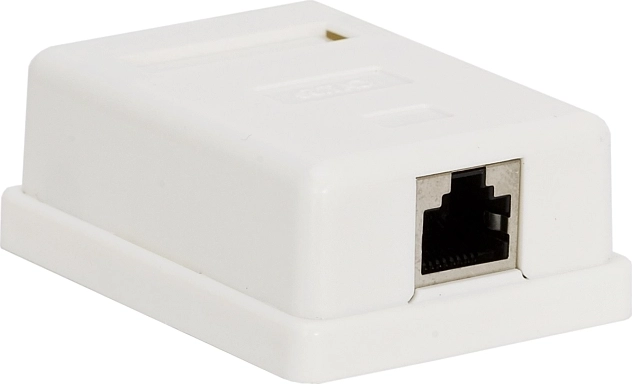 Wall-mounted RJ45 Cat.5e FTP network socket