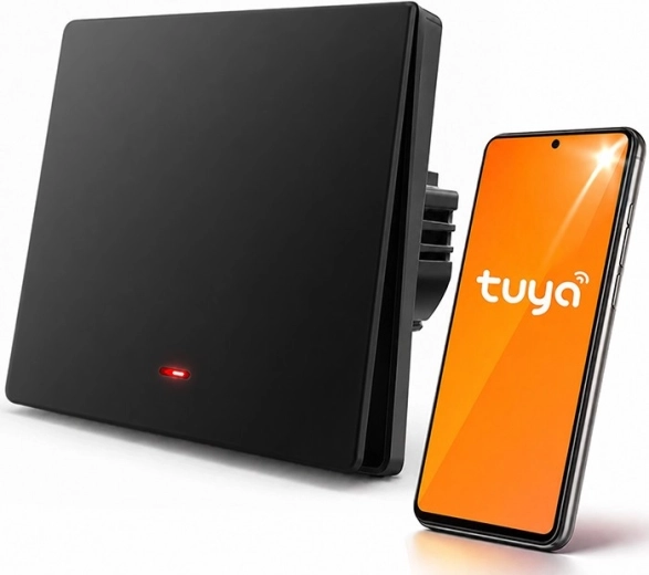 Control in the Tuya / Smart Life app from anywhere