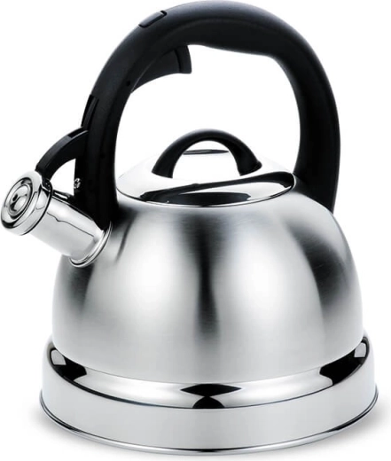 Kettle with whistle 2.9 l maestro