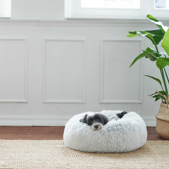 Designer pet bed