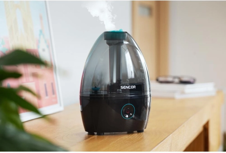 Ultrasonic cool mist