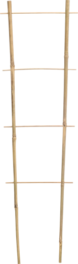 Dubults bambusa balsts kāpelējošiem augiem 45 cm