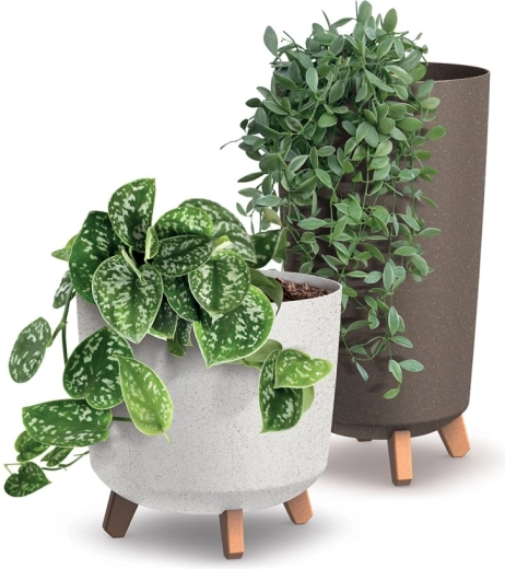 Eco composition with a natural wood look