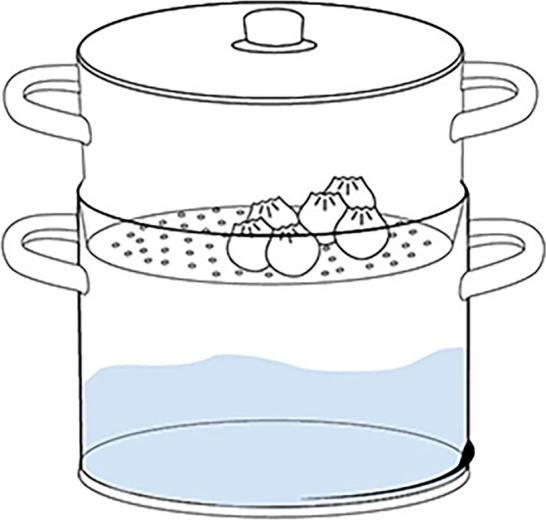 Healthy everyday steam cooking