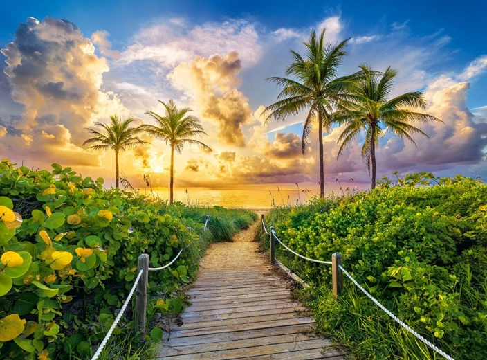 Puzle 3000 gabali Colorful Sunrise in Miami
