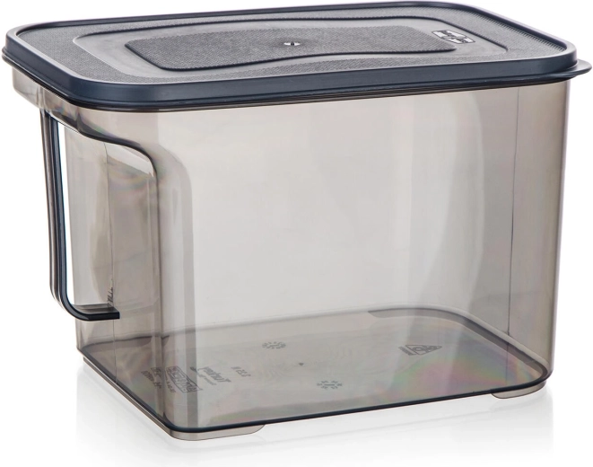 Plastmasas kārba ar rokturi 3,25 l Zoya