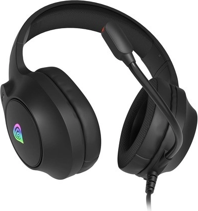 Clear voice and key in-game details