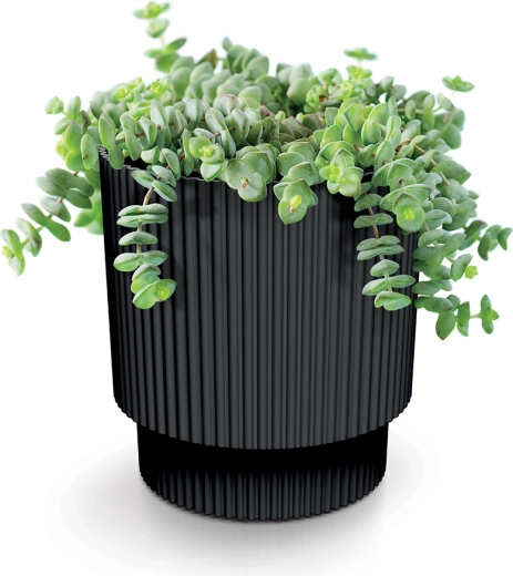 Supports healthy growth thanks to drainage