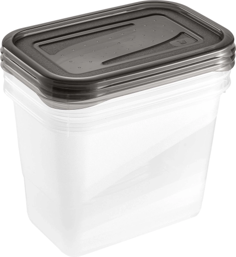 Keeeper Fresh & Freeze pārtikas uzglabāšanas trauks 1 l, 3 gab.