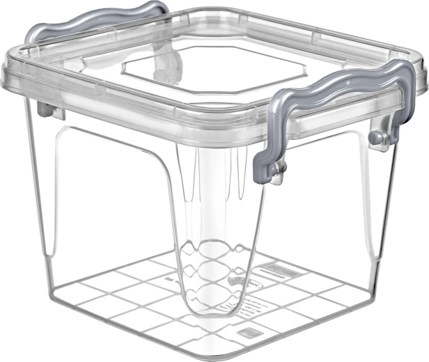Multi Box Food Container 0.55 l with Clips