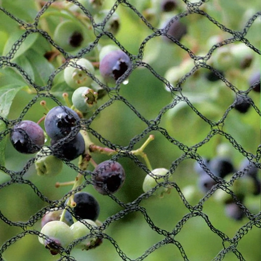 Uzticama ražas un augu aizsardzība