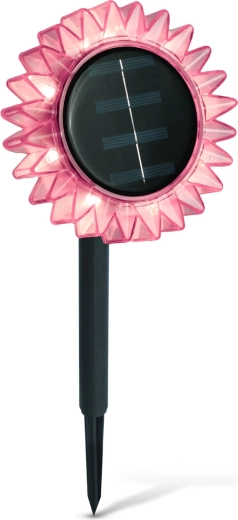 Decorative pink sunflower