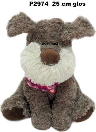 Dog Toy with Sound