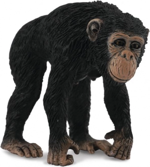 Collecta šimpanzes mātītes figūriņa