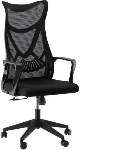 Ergonomisks biroja krēsls MASKINO ar elpojošu sietu